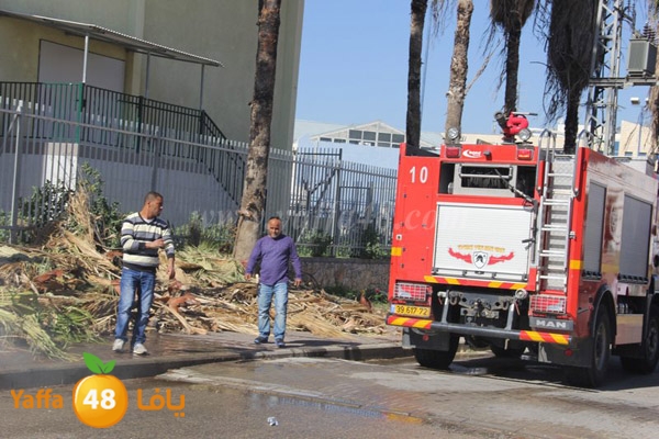 fire 7ekma 0212 (6).JPG